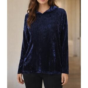 Emetla Women's Hooded Top Size Sm Crushed Velvet Purple Long Sl Top, Whimsigoth